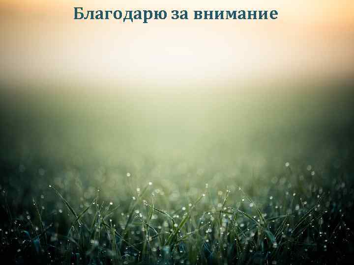 Благодарю за внимание 