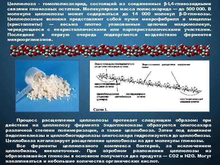 Целлюлоза - гомополисахарид, состоящий из соединенных β-l, 4 -гликoзидными связями глюкозных остатков. Молекулярная масса