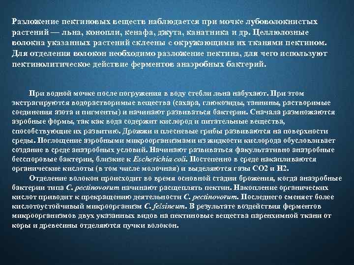 Разложение пектиновых веществ наблюдается при мочке лубоволокнистых растений — льна, конопли, кенафа, джута, канатника
