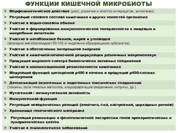 ФУНКЦИИ КИШЕЧНОЙ МИКРОБИОТЫ Ø Морфокинетическое действие (рост, развитие и апоптоз энтероцитов, ангиогенез) Ø Регуляция