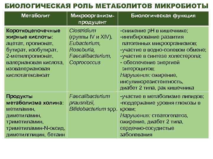 БИОЛОГИЧЕСКАЯ РОЛЬ МЕТАБОЛИТОВ МИКРОБИОТЫ Метаболит Короткоцепочечные жирные кислоты: ацетат, пропионат, бутират, изобутират, 2 -метилпропионат,