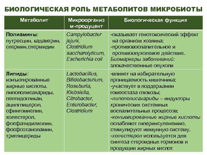 БИОЛОГИЧЕСКАЯ РОЛЬ МЕТАБОЛИТОВ МИКРОБИОТЫ Метаболит Микроорганиз м-продуцент Биологическая функция Полиамины: путресцин, кадаверин, спермидин Campylobacter