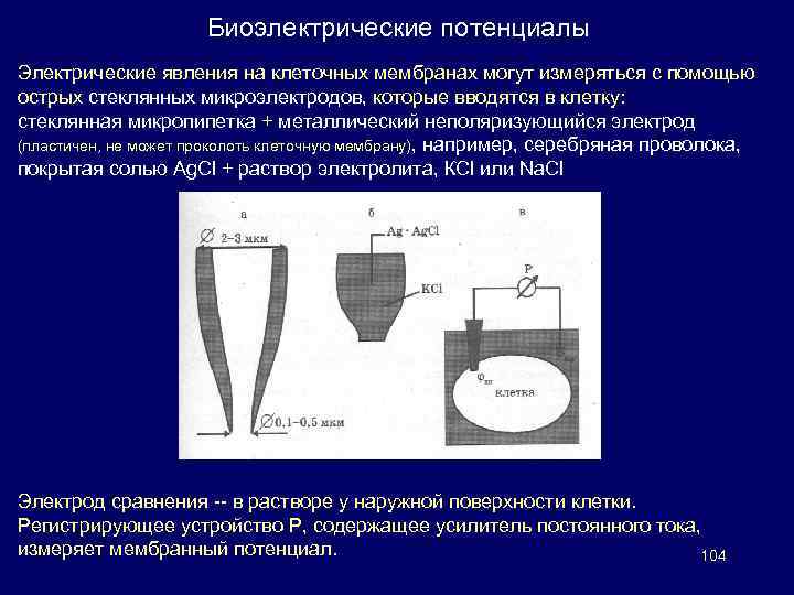 Электрические явления в сердце. Виды биоэлектрических потенциалов. Биоэлектрические потенциалы. Биоэлектрические явления в клетке: мембранный потенциал. Измерения биоэлектрических потенциалов.