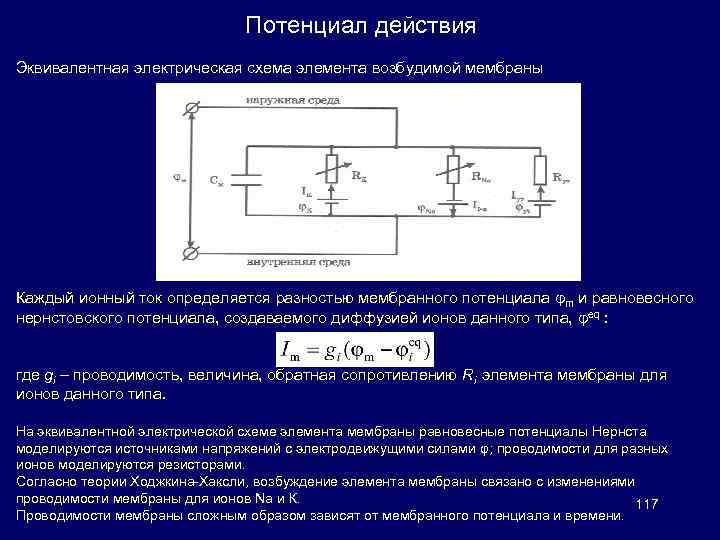 Какие сопротивления должна содержать эквивалентная электрическая схема тканей организма