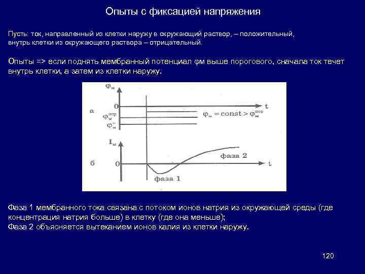 Опыты с фиксацией напряжения Пусть: ток, направленный из клетки наружу в окружающий раствор, –