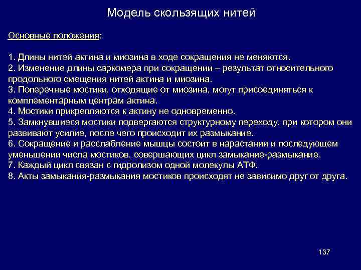 Модель скользящих нитей Основные положения: 1. Длины нитей актина и миозина в ходе сокращения