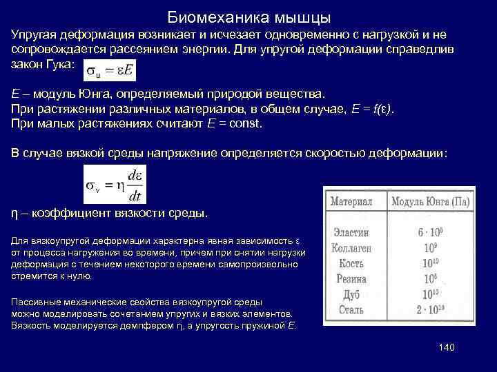Биомеханика мышцы Упругая деформация возникает и исчезает одновременно с нагрузкой и не сопровождается рассеянием