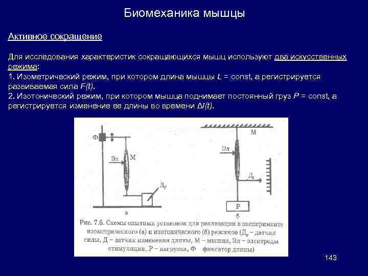 Искусственный режим. Биомеханика мышечного сокращения. Режимы мышечного сокращения биомеханика. Мощность мышечного сокращения биомеханика. Биомеханизм мышечных сокращений.