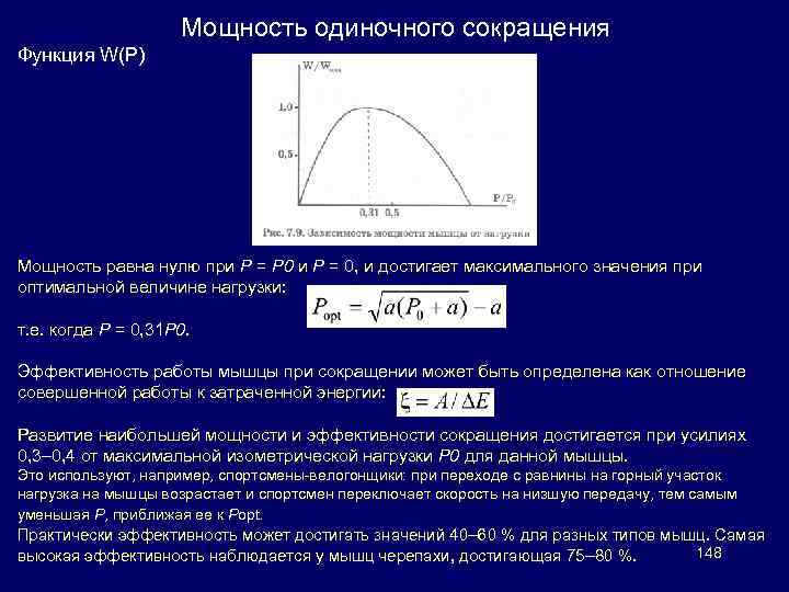 Мощность одиночного сокращения Функция W(P) Мощность равна нулю при Р = Р 0 и