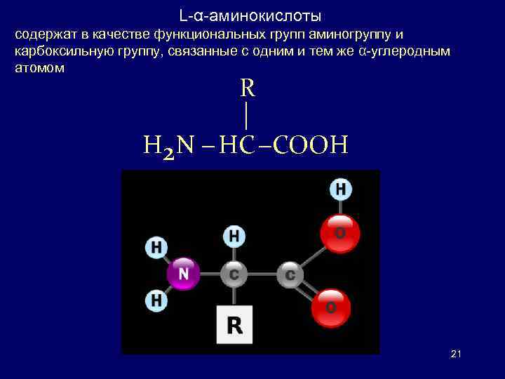 Аминокислоты содержат