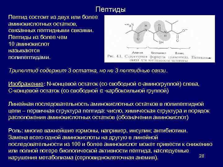 Пептиды Пептид состоит из двух или более аминокислотных остатков, связанных пептидными связями. Пептиды из