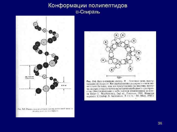 Конформации полипептидов α-Спираль 36 