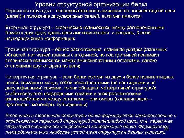 Уровни структурной организации белка Первичная структура – последовательность аминокислот полипептидной цепи (цепей) и положение