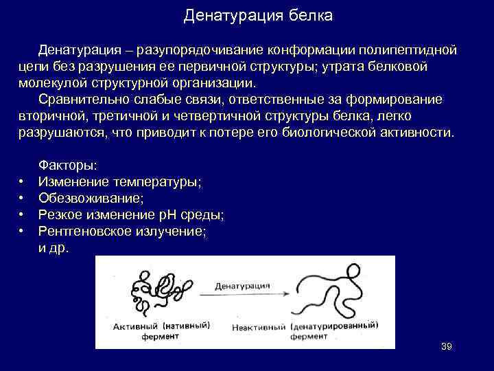Денатурация белка Денатурация – разупорядочивание конформации полипептидной цепи без разрушения ее первичной структуры; утрата