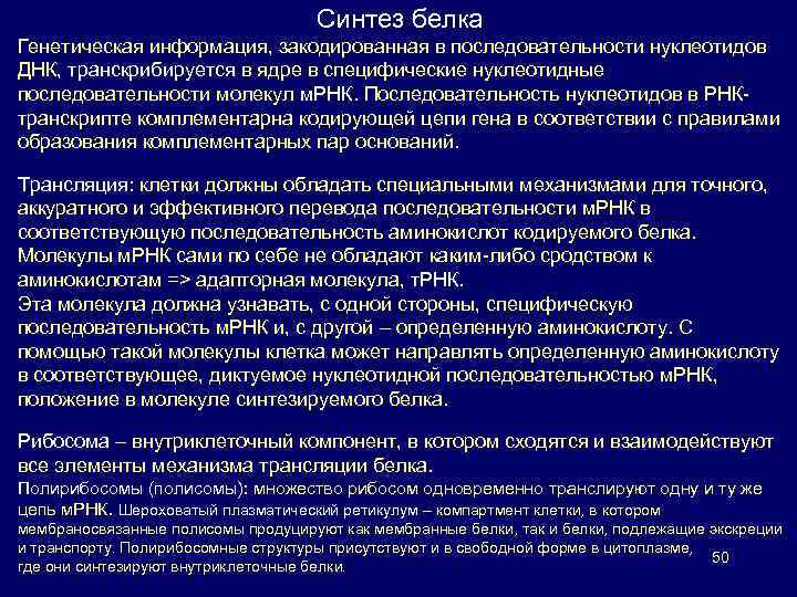 Синтез белка Генетическая информация, закодированная в последовательности нуклеотидов ДНК, транскрибируется в ядре в специфические