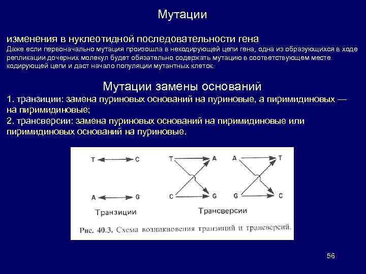 Некодирующая цепь