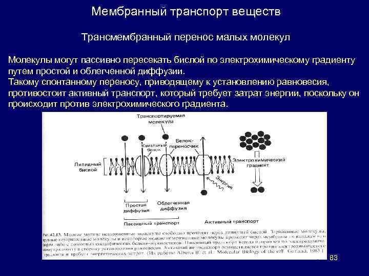 Участвует в транспорте веществ