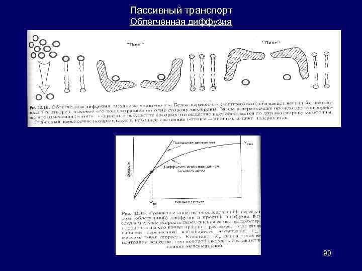 Пассивный транспорт Облегченная диффузия 90 