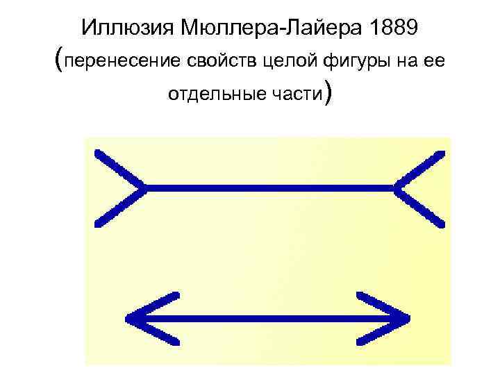 Иллюзия Мюллера-Лайера 1889 (перенесение свойств целой фигуры на ее отдельные части) 