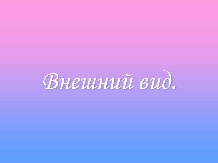 Внешний вид. 