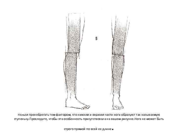Нельзя пренебрегать тем фактором, что нижняя и верхняя части ноги образуют так называемую ступеньку.