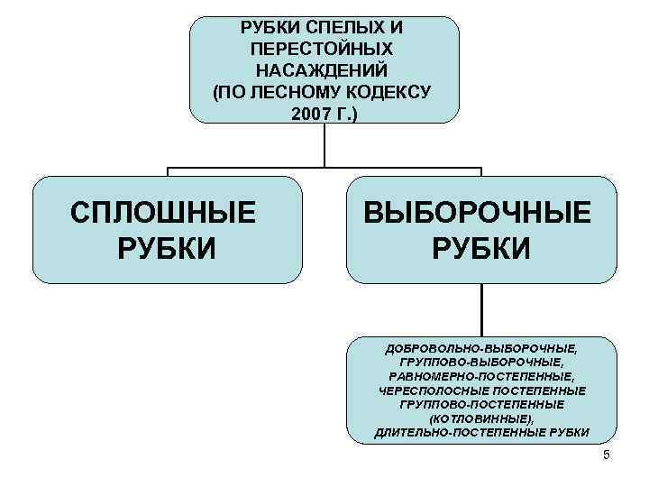 РУБКИ СПЕЛЫХ И ПЕРЕСТОЙНЫХ НАСАЖДЕНИЙ (ПО ЛЕСНОМУ КОДЕКСУ 2007 Г. ) СПЛОШНЫЕ РУБКИ ВЫБОРОЧНЫЕ