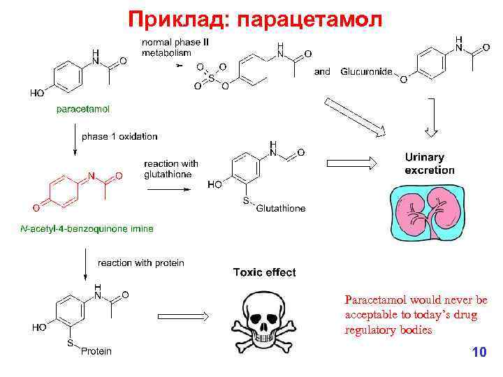 Приклад: парацетамол Paracetamol would never be acceptable to today’s drug regulatory bodies 10 