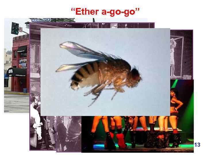 “Ether a-go-go” 13 