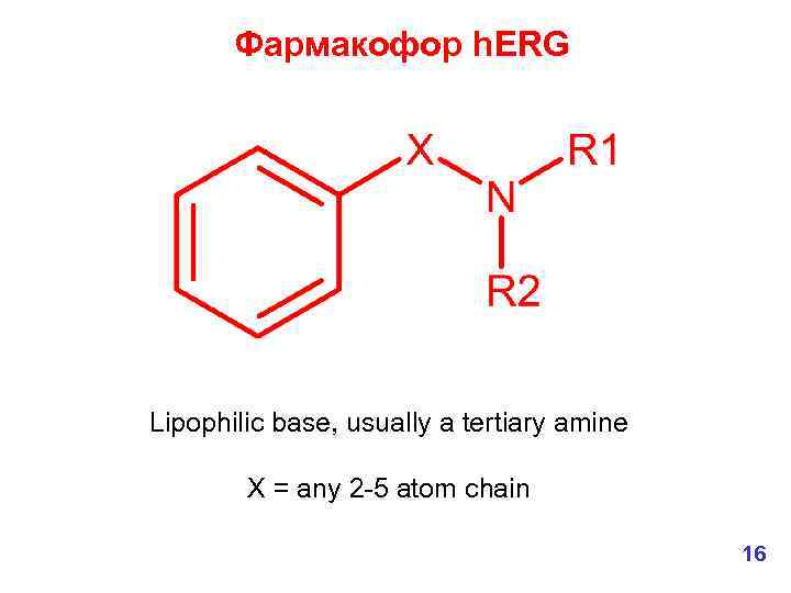 Фармакофор h. ERG Lipophilic base, usually a tertiary amine X = any 2 -5