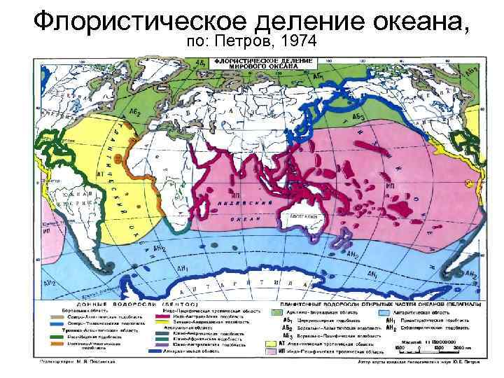 Флористическое деление океана, по: Петров, 1974 