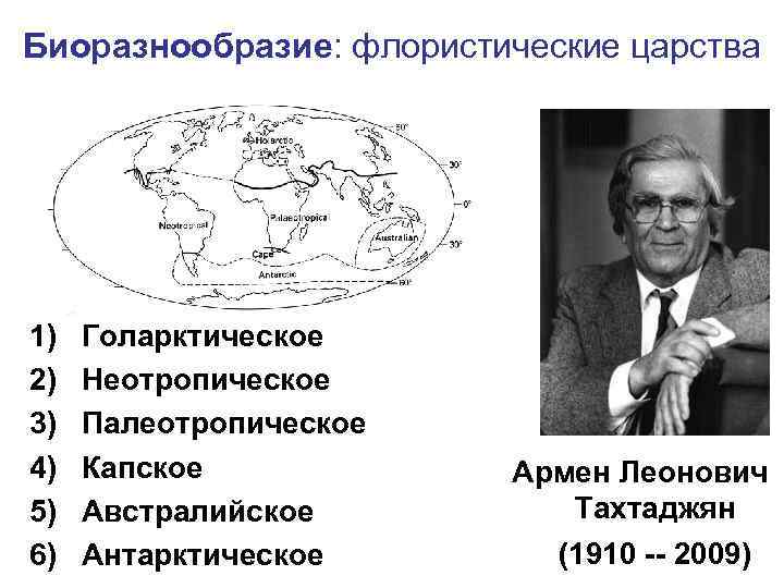Биоразнообразие: флористические царства 1) 2) 3) 4) 5) 6) Голарктическое Неотропическое Палеотропическое Капское Австралийское