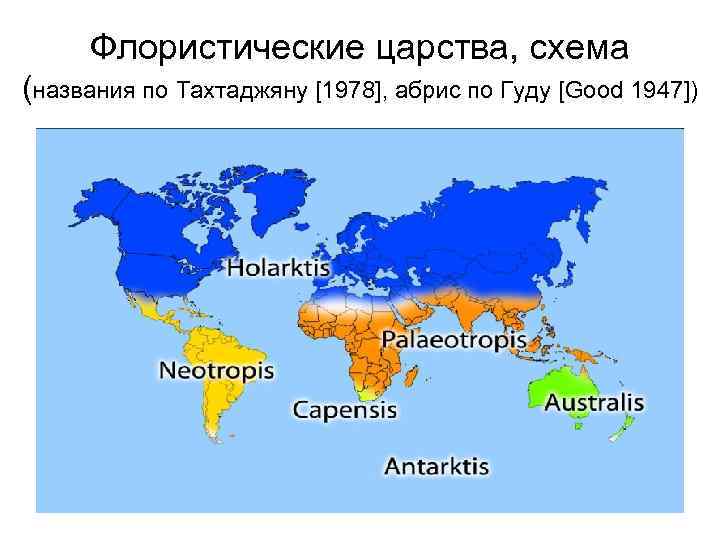 Флористические царства, схема (названия по Тахтаджяну [1978], абрис по Гуду [Good 1947]) 