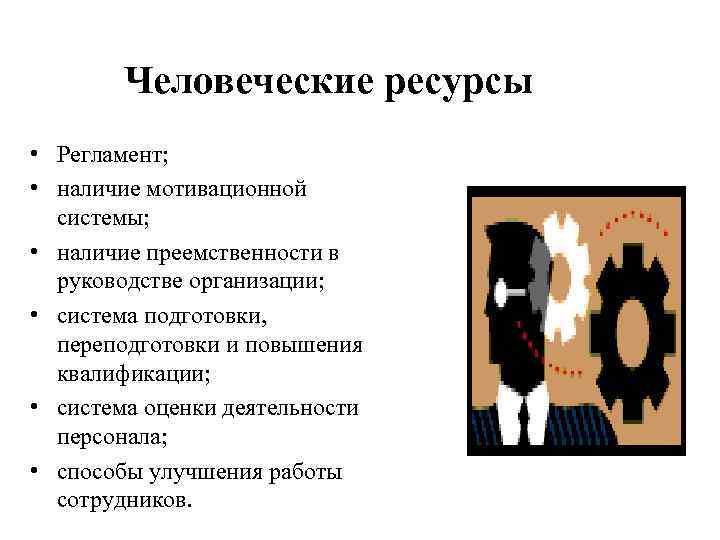 Человеческие ресурсы • Регламент; • наличие мотивационной системы; • наличие преемственности в руководстве организации;
