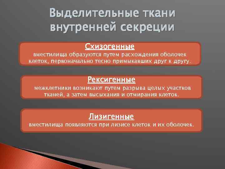 Выделительные ткани внутренней секреции Схизогенные вместилища образуются путем расхождения оболочек клеток, первоначально тесно примыкавших