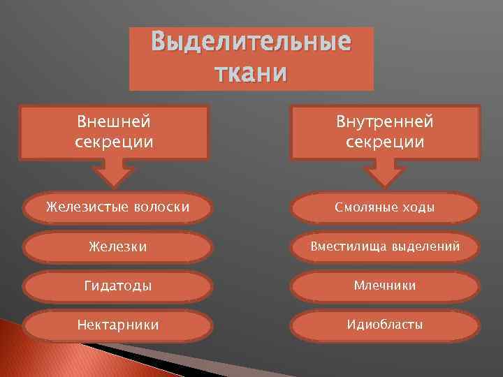 Выделительные ткани Внешней секреции Внутренней секреции Железистые волоски Смоляные ходы Железки Вместилища выделений Гидатоды