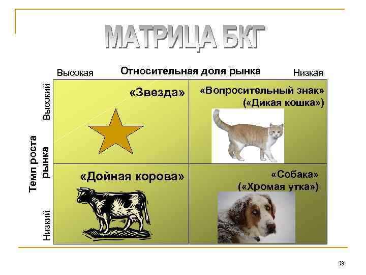 Относительная доля рынка «Звезда» «Дойная корова» Низкая «Вопросительный знак» ( «Дикая кошка» ) «Собака»