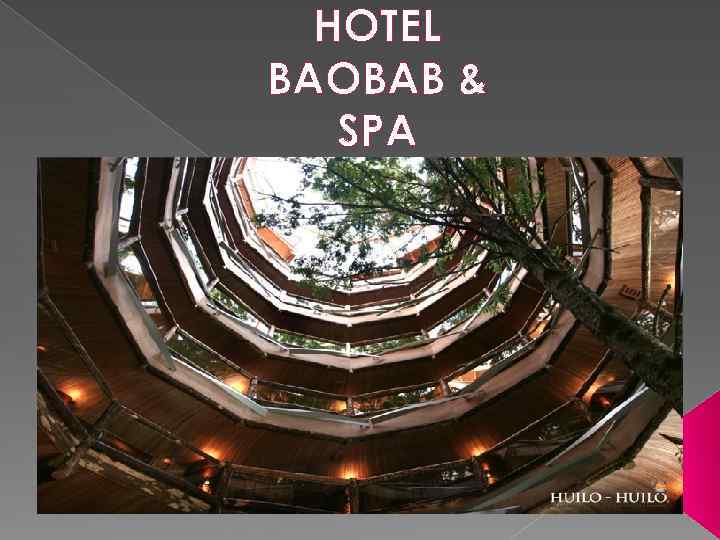 HOTEL BAOBAB & SPA 
