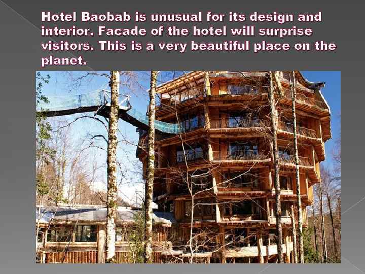 Hotel Baobab is unusual for its design and interior. Facade of the hotel will