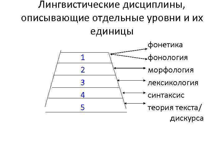 Дисциплина лингвистика