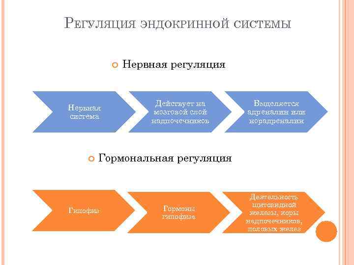 РЕГУЛЯЦИЯ ЭНДОКРИННОЙ СИСТЕМЫ Нервная система Нервная регуляция Действует на мозговой слой надпочечников Выделяется адреналин