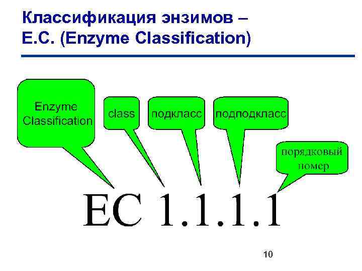 Классификация энзимов – Е. С. (Enzyme Classification) 10 