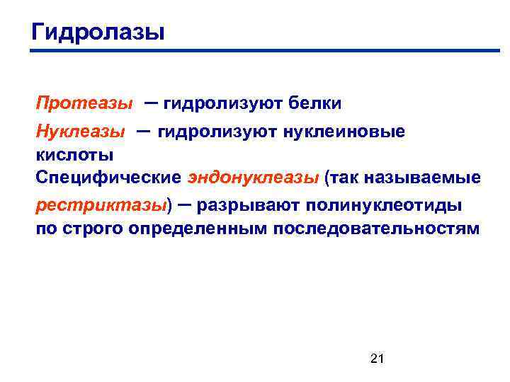 Гидролазы Протеазы – гидролизуют белки Нуклеазы – гидролизуют нуклеиновые кислоты Специфические эндонуклеазы (так называемые