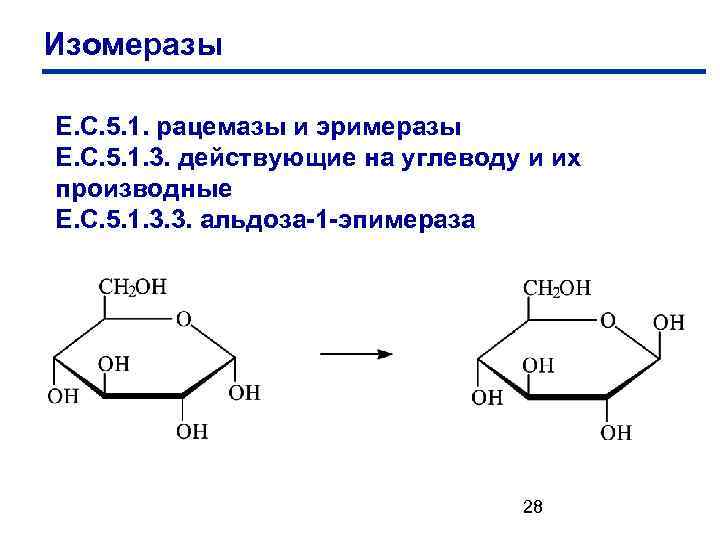 Изомеразы Е. С. 5. 1. рацемазы и эримеразы Е. С. 5. 1. 3. действующие