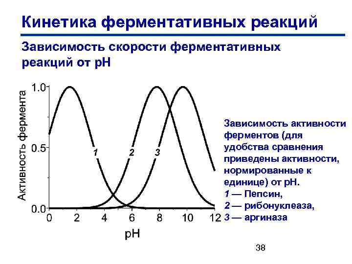 Кинетика ферментативных реакций Зависимость скорости ферментативных реакций от р. Н Зависимость активности ферментов (для