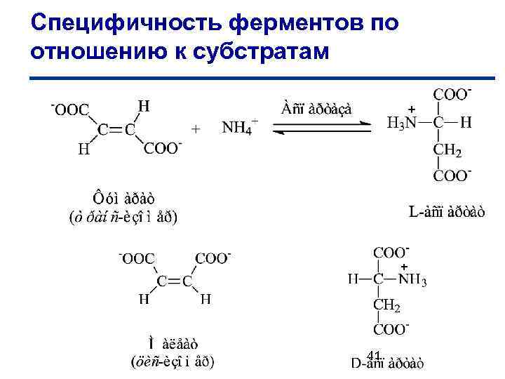 Специфичность ферментов по отношению к субстратам 41 