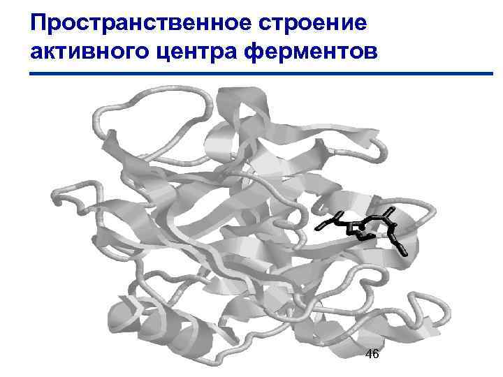 Пространственное строение активного центра ферментов 46 