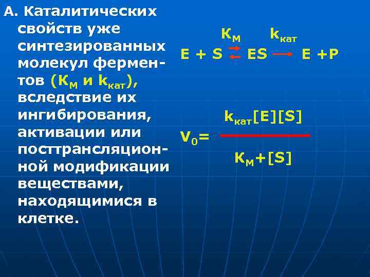 А. Каталитических свойств уже КМ kкат синтезированных E+S ES E +P молекул ферментов (КМ