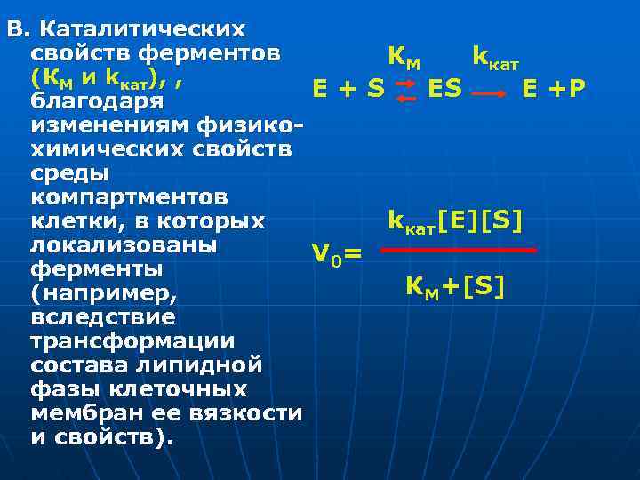 В. Каталитических свойств ферментов КМ kкат (КМ и kкат), , E+S ES E +P