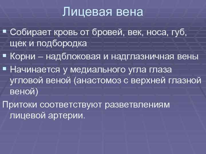 Лицевая вена § Собирает кровь от бровей, век, носа, губ, щек и подбородка §