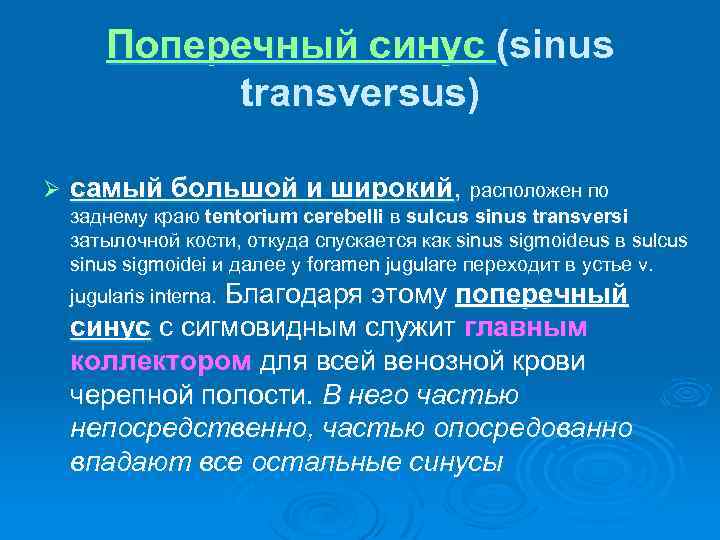 Поперечный синус (sinus transversus) Ø самый большой и широкий, расположен по заднему краю tentorium